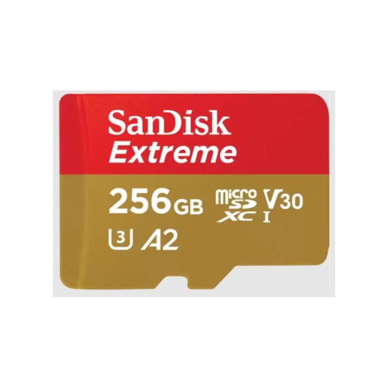 mc-micsd256g-sanex22-30090223