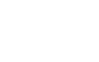 Assintel